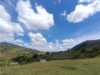 Foto 12 de Lote en venta Marinilla - vereda Salto Arriba