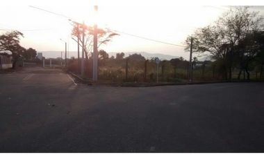 similar_image