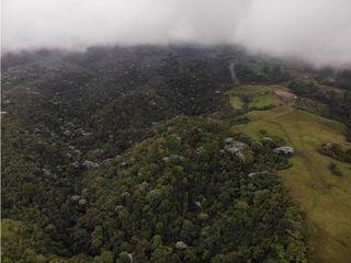 Se Vende Finca Sembrada en Bosque Nativo Filandia Quindio