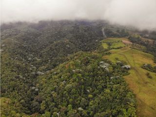 Se Vende Finca Sembrada en Bosque Nativo Filandia Quindio