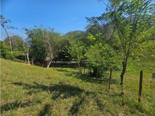 Foto 6 de Venta De Lote En Venecia Antioquia - Corregimiento Bolombolo