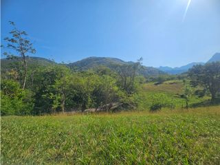 Foto 2 de Venta De Lote En Venecia Antioquia - Corregimiento Bolombolo