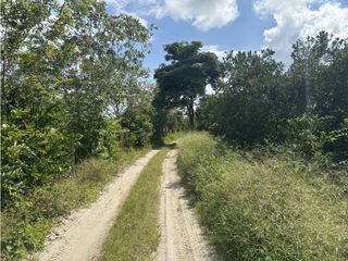 Lote Campestre En Venta Con Potencial Para Parcela Pueblo Tapao