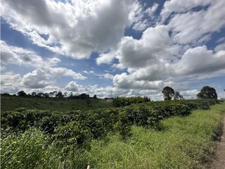 Lote Campestre En Venta Con Potencial Para Parcela Pueblo Tapao