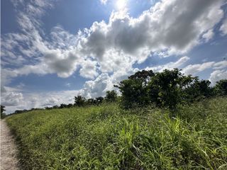 Lote Campestre En Venta Con Potencial Para Parcela Pueblo Tapao