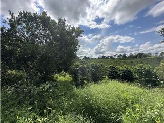 Lote Campestre En Venta Con Potencial Para Parcela Pueblo Tapao