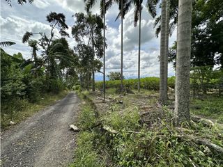 Se Vende Parcelacion De 6 Lotes En Pueblo Tapao Quindio