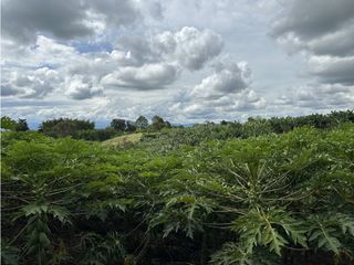 Se Vende Parcelacion De 6 Lotes En Pueblo Tapao Quindio