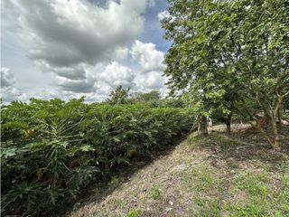 Se Vende Parcelacion De 6 Lotes En Pueblo Tapao Quindio