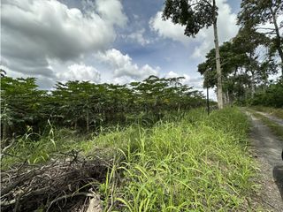 Se Vende Parcelacion De 6 Lotes En Pueblo Tapao Quindio