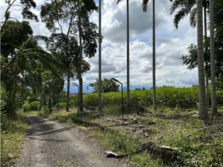 Se Vende Parcelacion De 6 Lotes En Pueblo Tapao Quindio