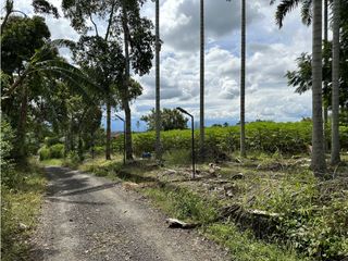 Se Vende Parcelacion De 6 Lotes En Pueblo Tapao Quindio