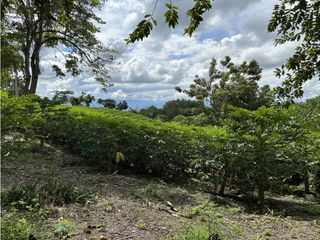 Se Vende Parcelacion De 6 Lotes En Pueblo Tapao Quindio