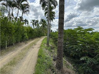 Se Vende Parcelacion De 6 Lotes En Pueblo Tapao Quindio