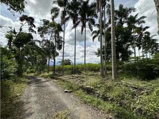 Se Vende Parcelacion De 6 Lotes En Pueblo Tapao Quindio