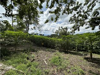 Se Vende Parcelacion De 6 Lotes En Pueblo Tapao Quindio