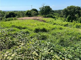 Finca Bayunca Cartagena