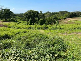 Finca Bayunca Cartagena