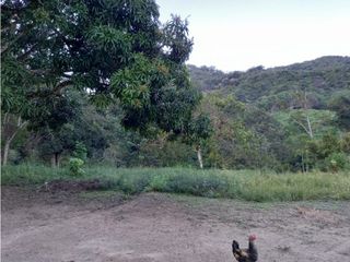 Venta de finca de 20 hectáreas en Minca-Santa Marta