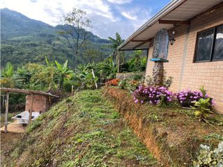 VENTA FINCA SECTOR MONTEREY, VEREDA MIRAFLORES BUGA