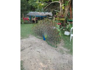 Foto 15 de CABAÑA EN VENTA / PORTAL CAMPESTRE CASA