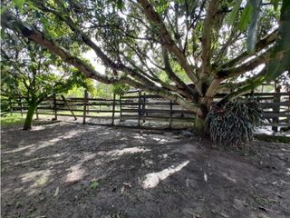 Foto 8 de El Bolo - Finca en venta y/o permuta