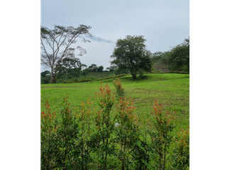 Foto 10 de Maat vende Lote  campestre en Tobia 1.500m2 $300Millones