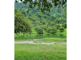 Foto 19 de Maat vende Lote  campestre en Tobia 1.500m2 $300Millones