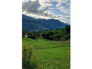 Foto 6 de Maat vende Lote  campestre en Tobia 1.500m2 $300Millones