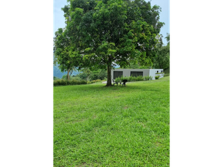 Foto 8 de Maat vende Lote  campestre en Tobia 1.500m2 $300Millones