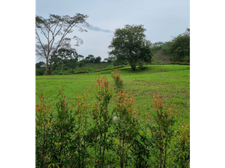 Foto 12 de Maat vende Lote  campestre en Tobia 1.500m2 $300Millones