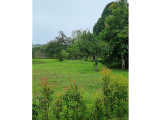 Foto 20 de Maat vende Lote  campestre en Tobia 1.500m2 $300Millones