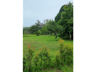 Foto 9 de Maat vende Lote  campestre en Tobia 1.500m2 $300Millones