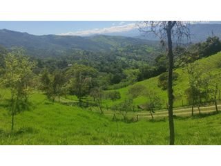 Maat vende finca La Masata Alta - Villeta 40.000m2 $1.600Millones
