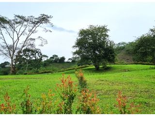 Foto 12 de Maat vende Casa Campestre-Villeta 1.400m2 $1.400Millones
