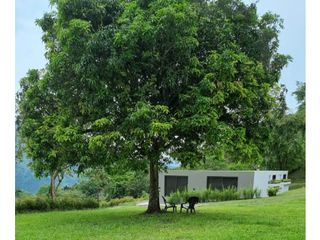 Foto 15 de Maat vende Casa Campestre-Villeta 1.400m2 $1.400Millones