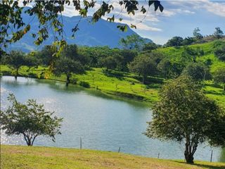 Foto 16 de Maat vende Casa Campestre-Villeta 1.400m2 $1.400Millones