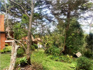Casa finca con bosque y quebrada  en Santa Elena Sector tres puertas