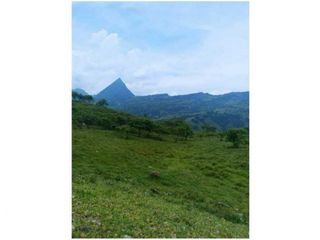 Foto 5 de VENDO LOTE PARA PARCELAR  EN EL SECTOR LA SIRIA ANTIOQUIA VIA PACFICO