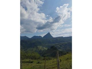 Foto 1 de VENDO LOTE PARA PARCELAR  EN EL SECTOR LA SIRIA ANTIOQUIA VIA PACFICO