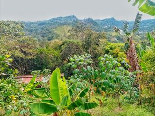 Maat vende finca en Bulucaima-LaVega 12.766m2 $900Millones