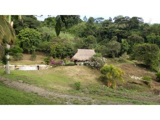Maat vende Finca en Quebrada Negra-Villeta 25.600m2 $700Millones