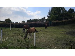 Foto 4 de VENDO FINCA EN SUBACHOQUE A PUERTA CERRADA (IC)
