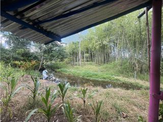 Foto 40 de VENTA CHALET SECTOR MURILLO ARMENIA QUINDIO
