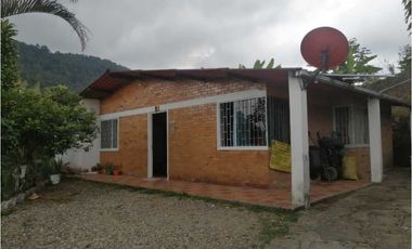 similar_image