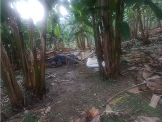 Foto 8 de Finca de 1.580m2 en venta Guacarí Sonso Valle del Cauca Colombia