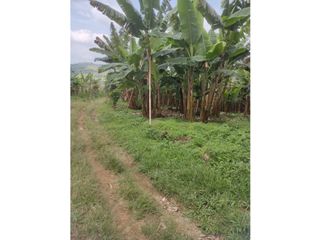 Foto 4 de Finca de 1.580m2 en venta Guacarí Sonso Valle del Cauca Colombia