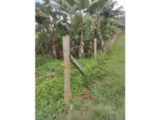 Foto 5 de Finca de 1.580m2 en venta Guacarí Sonso Valle del Cauca Colombia