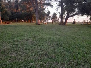 Foto 8 de AM - Campo 7 Has - Veronica Punta Indio
