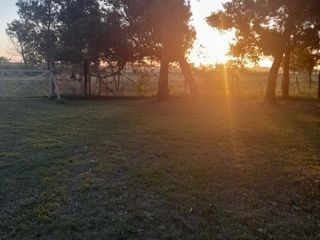 Foto 3 de AM - Campo 7 Has - Veronica Punta Indio